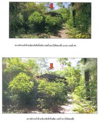 ขายที่ดินพร้อมสิ่งปลูกสร้าง 363 หมู่ 2  ท่าทอง กาญจนดิษฐ์ สุราษฎร์ธานี ขนาด 2-2-38.7 ของ ธนาคารกรุงไทย