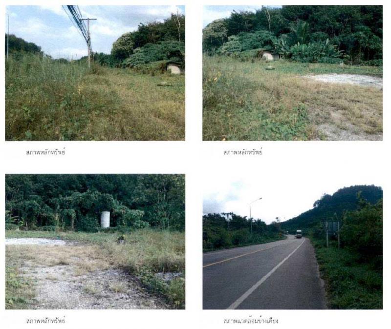 คลองชะอุ่น พนม สุราษฎร์ธานี