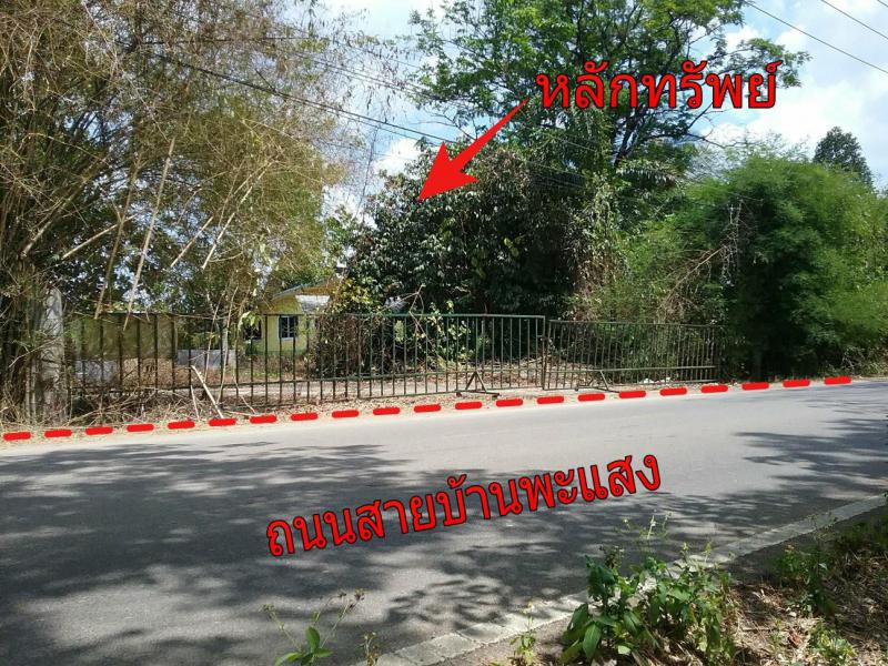 39/1  พะแสง บ้านตาขุน สุราษฎร์ธานี