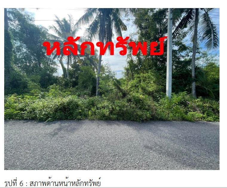 คลองฉนาก เมืองสุราษฎร์ธานี สุราษฎร์ธานี