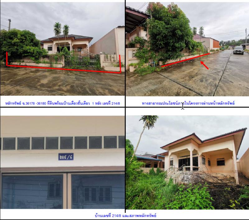214/8 หมู่บ้านแสงดีวิลล่า  ท่าโรงช้าง พุนพิน สุราษฎร์ธานี