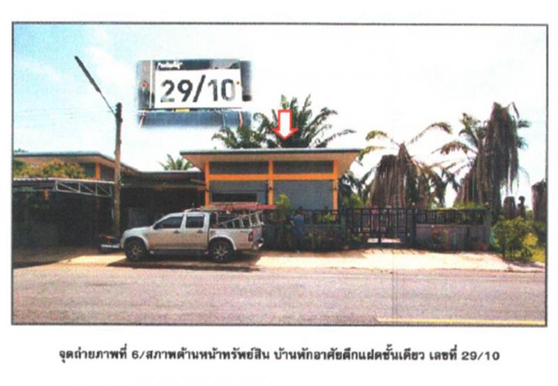 มะขามเตี้ย เมืองสุราษฎร์ธานี สุราษฎร์ธานี