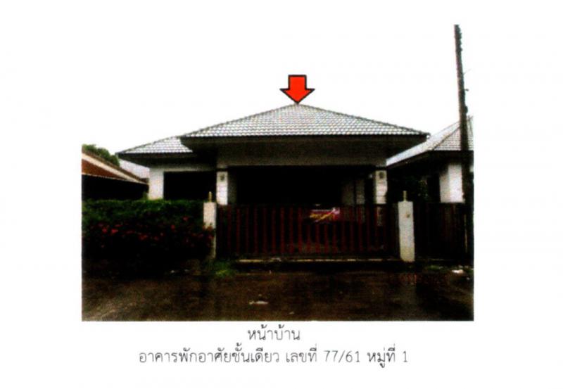 มะขามเตี้ย เมืองสุราษฎร์ธานี สุราษฎร์ธานี
