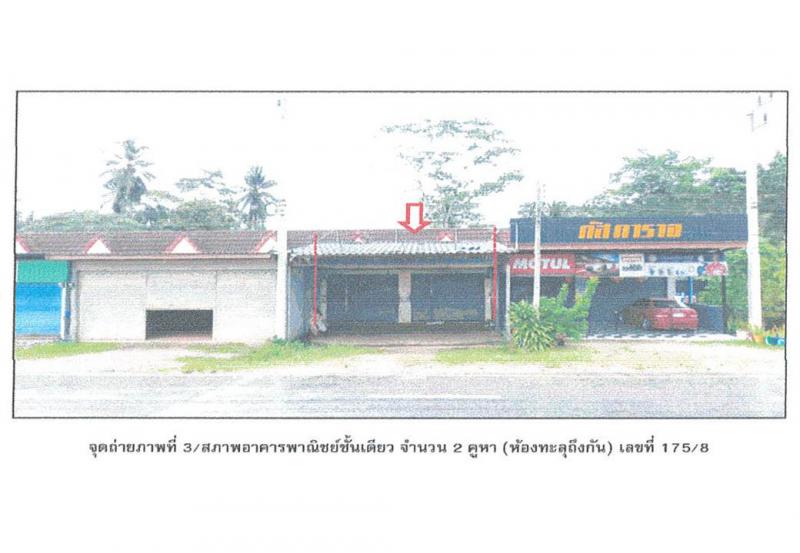 ต้นยวน พนม สุราษฎร์ธานี