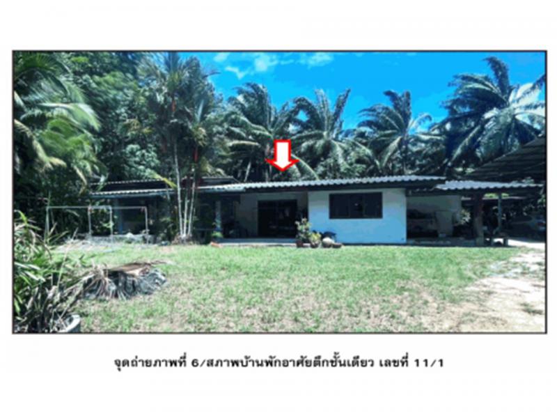 วัง ท่าชนะ สุราษฎร์ธานี