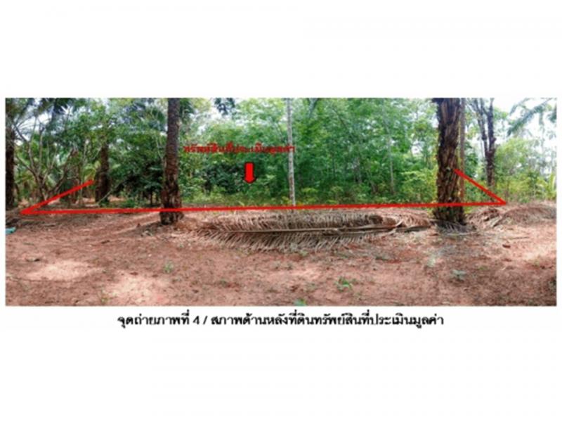 คันธุลี ท่าชนะ สุราษฎร์ธานี