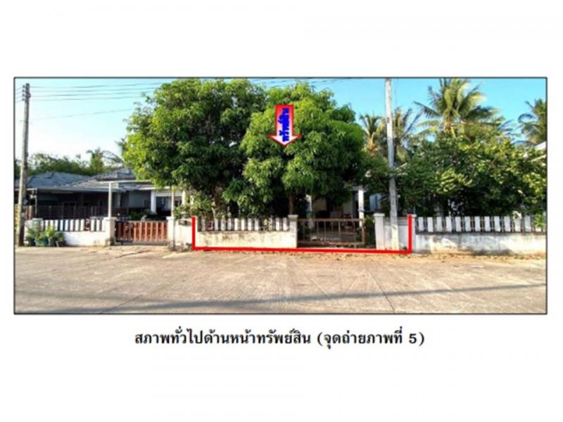มะขามเตี้ย เมืองสุราษฎร์ธานี สุราษฎร์ธานี