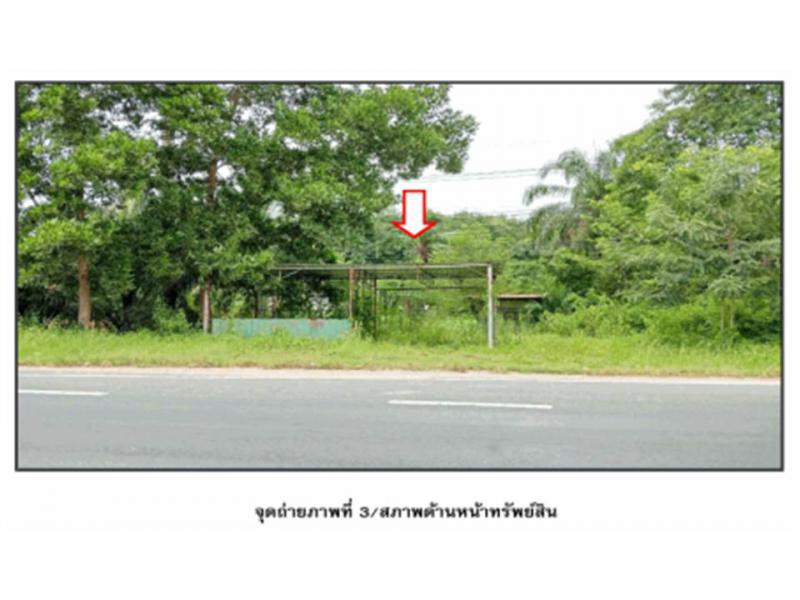 คลองไทร ท่าฉาง สุราษฎร์ธานี