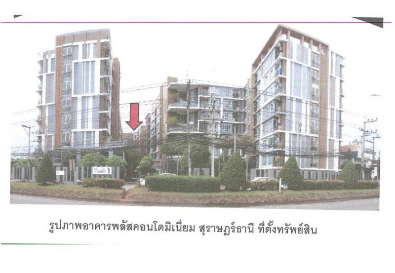 มะขามเตี้ย เมืองสุราษฎร์ธานี สุราษฎร์ธานี