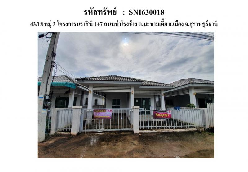 มะขามเตี้ย เมืองสุราษฎร์ธานี สุราษฎร์ธานี