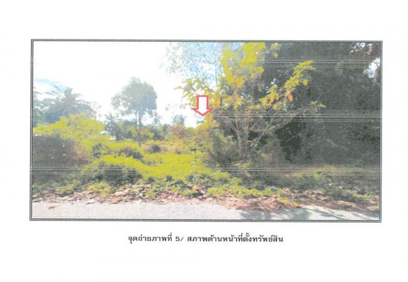 ท่าชนะ ท่าชนะ สุราษฎร์ธานี
