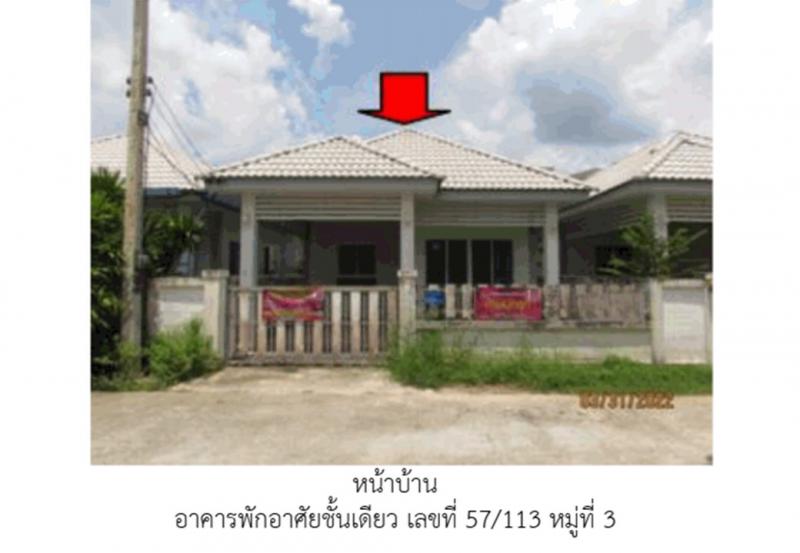 มะขามเตี้ย เมืองสุราษฎร์ธานี สุราษฎร์ธานี