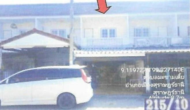 มะขามเตี้ย เมืองสุราษฎร์ธานี สุราษฎร์ธานี