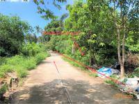 ขายที่ดินว่างเปล่า ลิปะน้อย เกาะสมุย สุราษฎร์ธานี ขนาด 3-3-19.00 ของ ธนาคารกสิกรไทย
