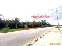 ขายที่ดินว่างเปล่า