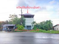 ขายบ้านเดี่ยว
