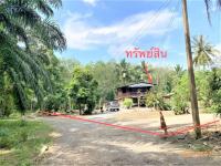 ขายบ้านเดี่ยว