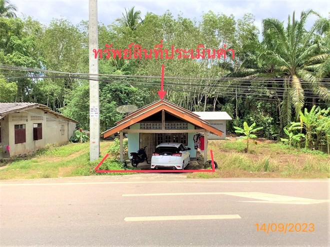 ไทรทอง ชัยบุรี สุราษฎร์ธานี