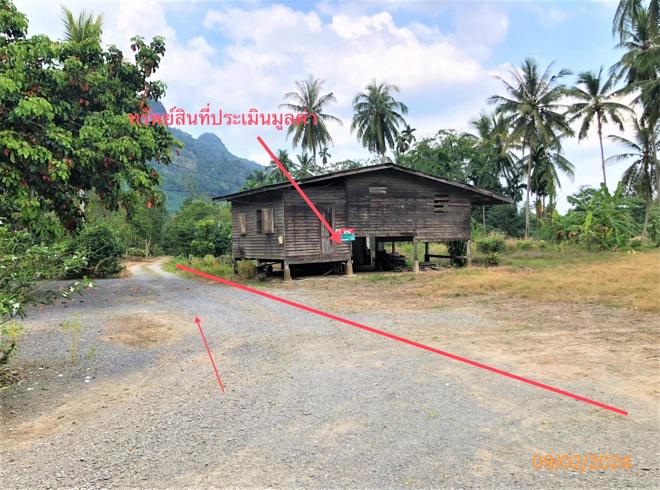 คลองสระ กาญจนดิษฐ์ สุราษฎร์ธานี