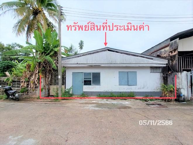 มะขามเตี้ย เมืองสุราษฎร์ธานี สุราษฎร์ธานี