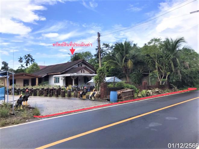 ทุ่งเตา บ้านนาสาร สุราษฎร์ธานี