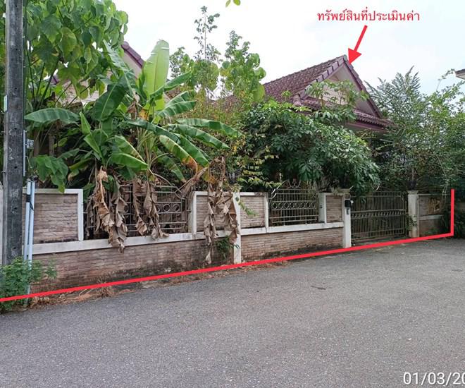 มะขามเตี้ย เมืองสุราษฎร์ธานี สุราษฎร์ธานี