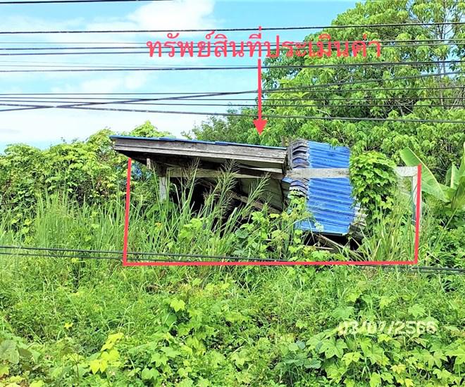 คลองชะอุ่น พนม สุราษฎร์ธานี