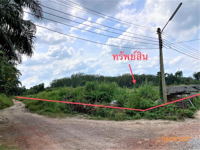 ทุ่งเตาใหม่ บ้านนาสาร สุราษฎร์ธานี