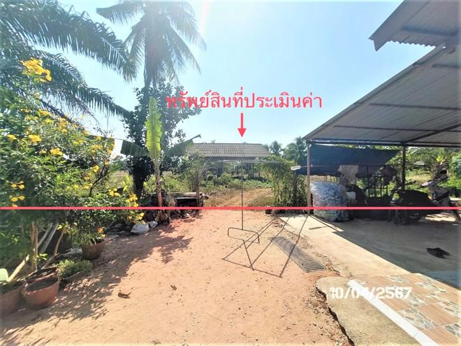 เลม็ด ไชยา สุราษฎร์ธานี